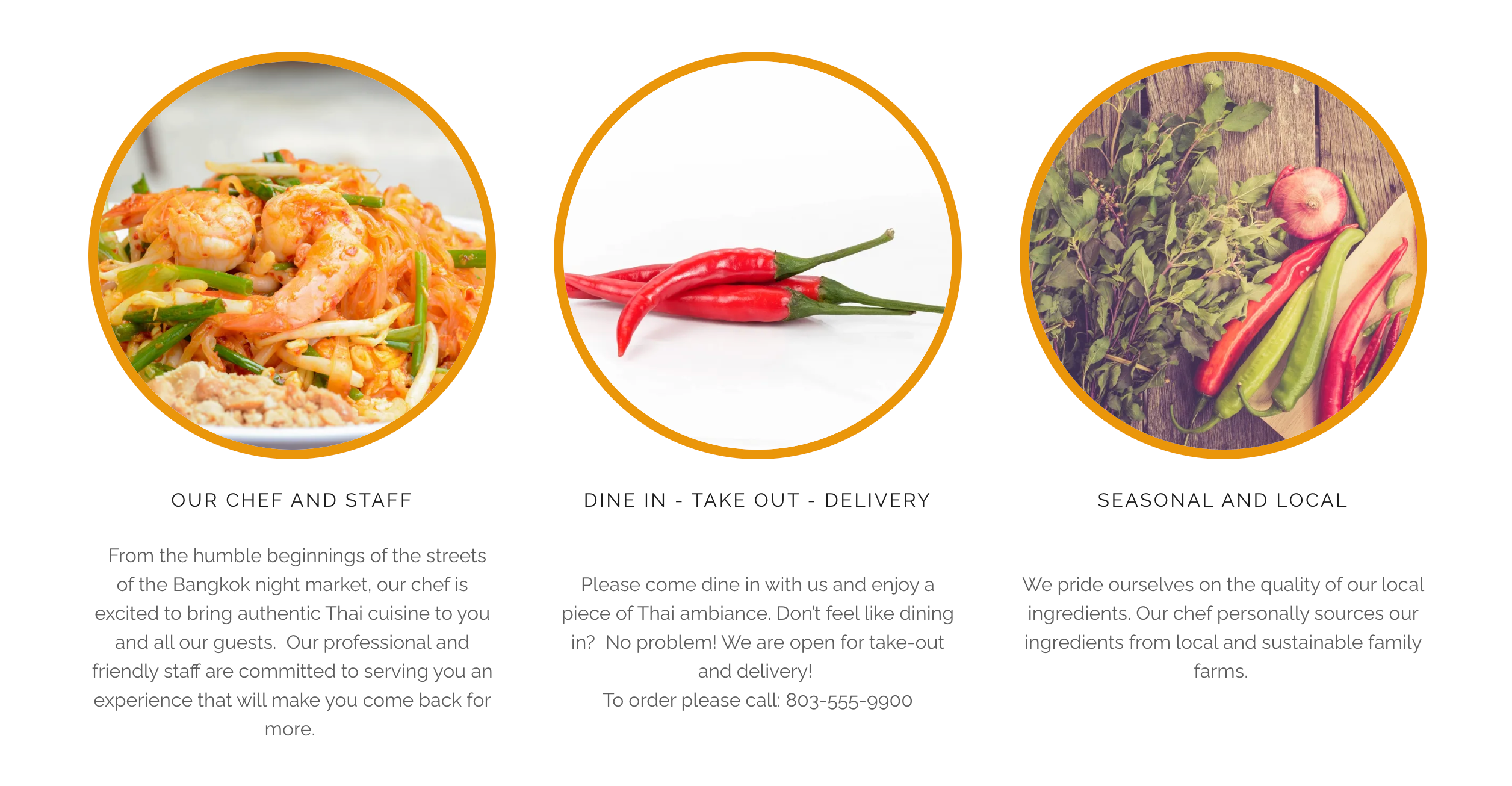 colorful music notes